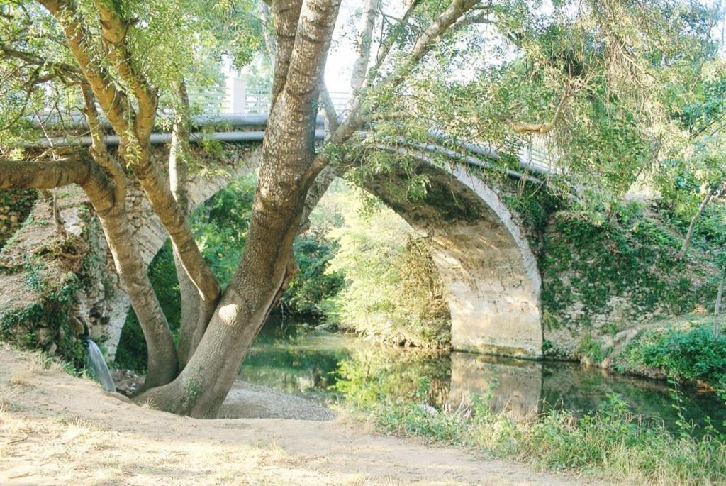 Tortinette Sainte-Anastasie-sur-Issole